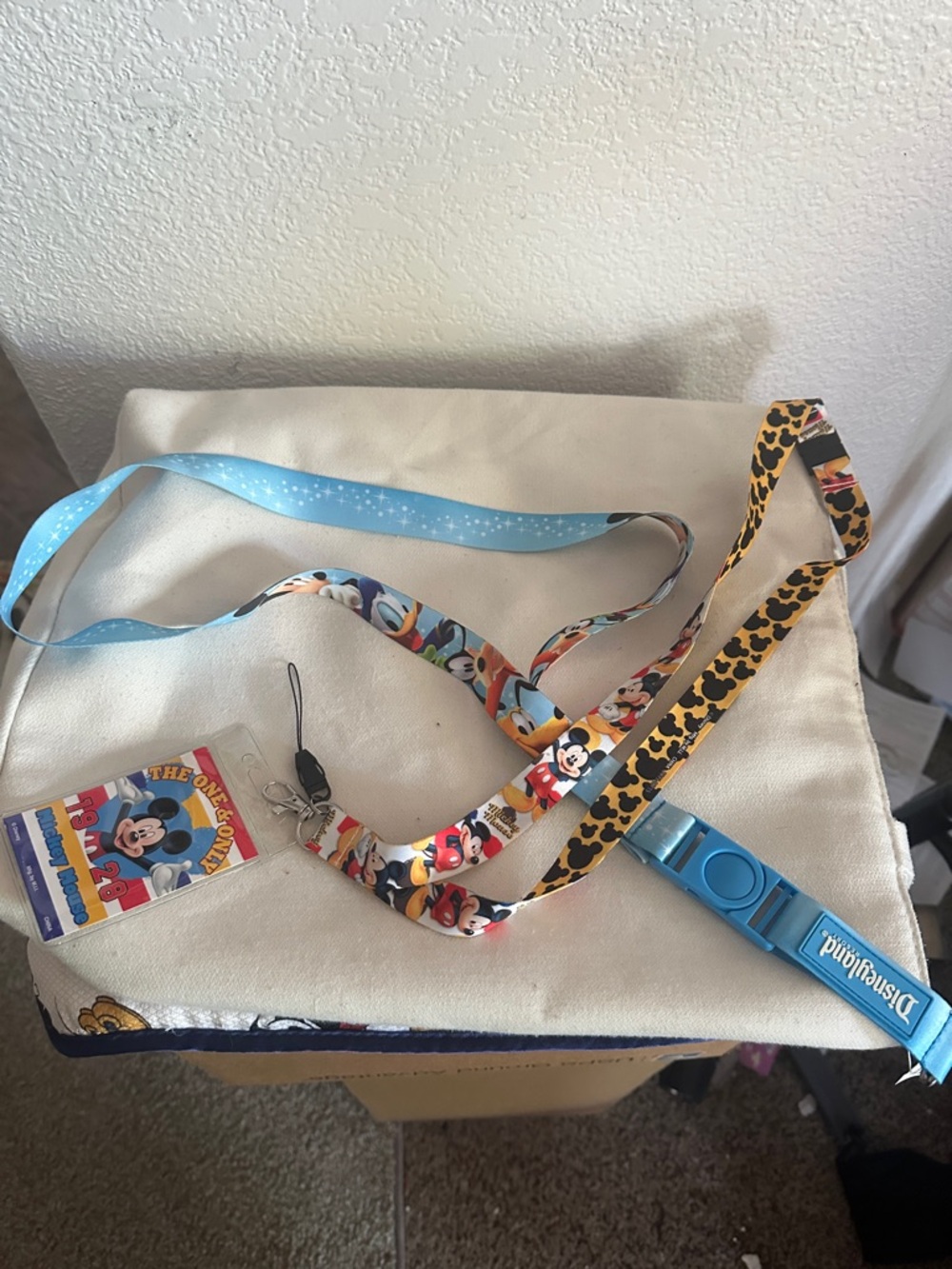 LOT Of Two Disney Multi-Pattern Lanyard’s